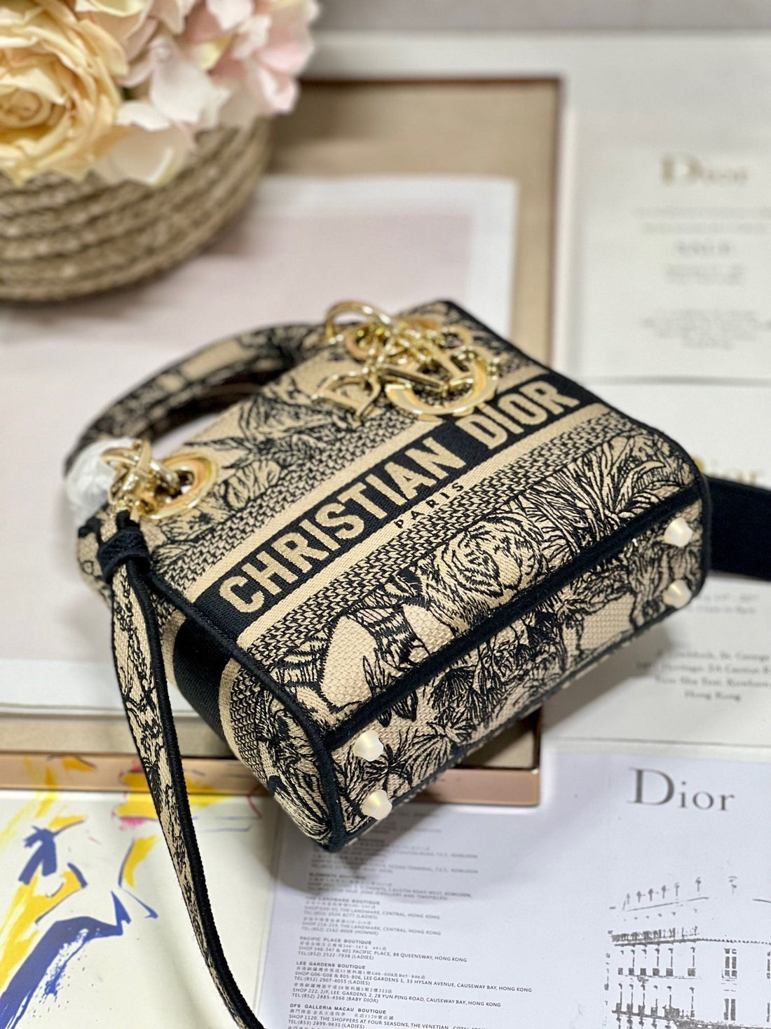 CD Elephant Apricot  17 Lady Dior Bag Canvas 336749