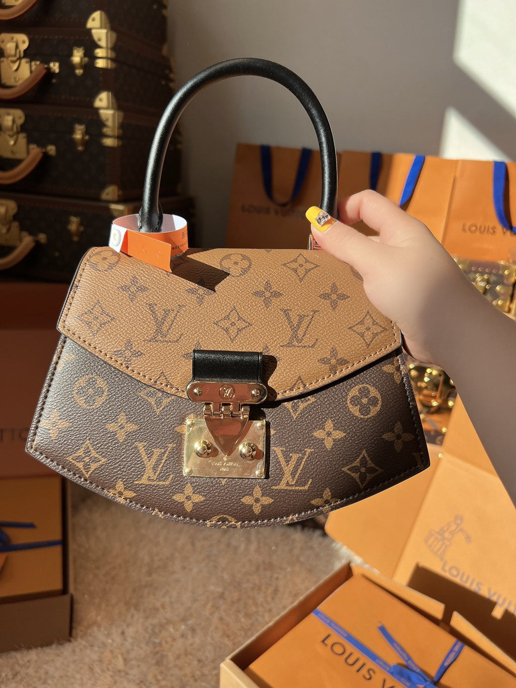 Studio Nafay 181910 Luxury Bags(24*18*7)cm