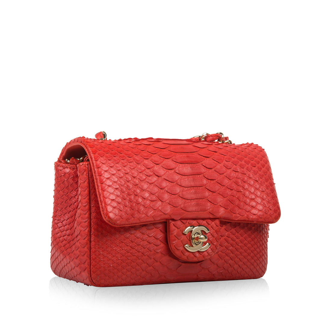Classic Flap Bag - Mini Rectangular - Python - Shoulder Bags