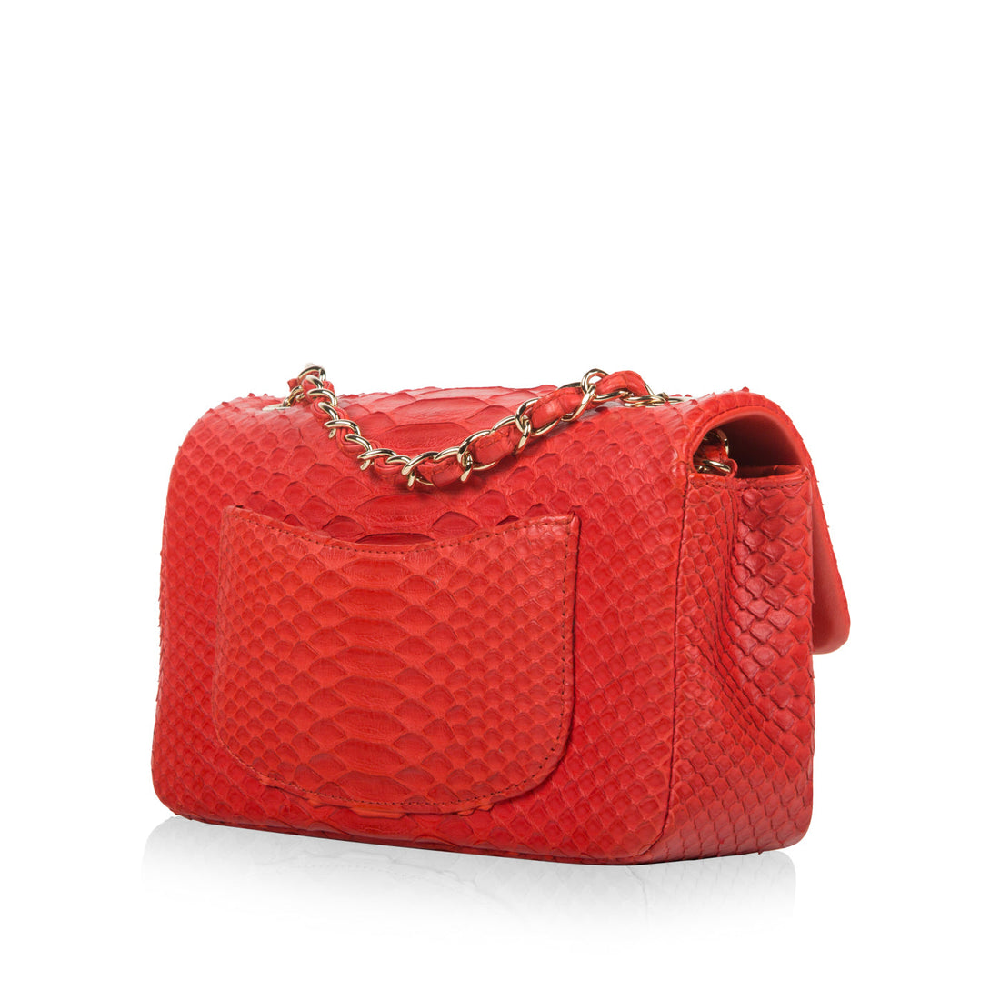 Classic Flap Bag - Mini Rectangular - Python - Shoulder Bags