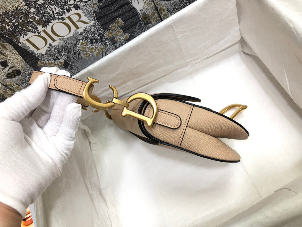 Dior Saddle Small Nude Color 21x18x5 cm