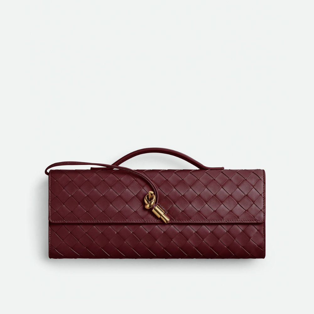 Barolo Long Clutch Andiamo With Handle Designer Clutch for Women