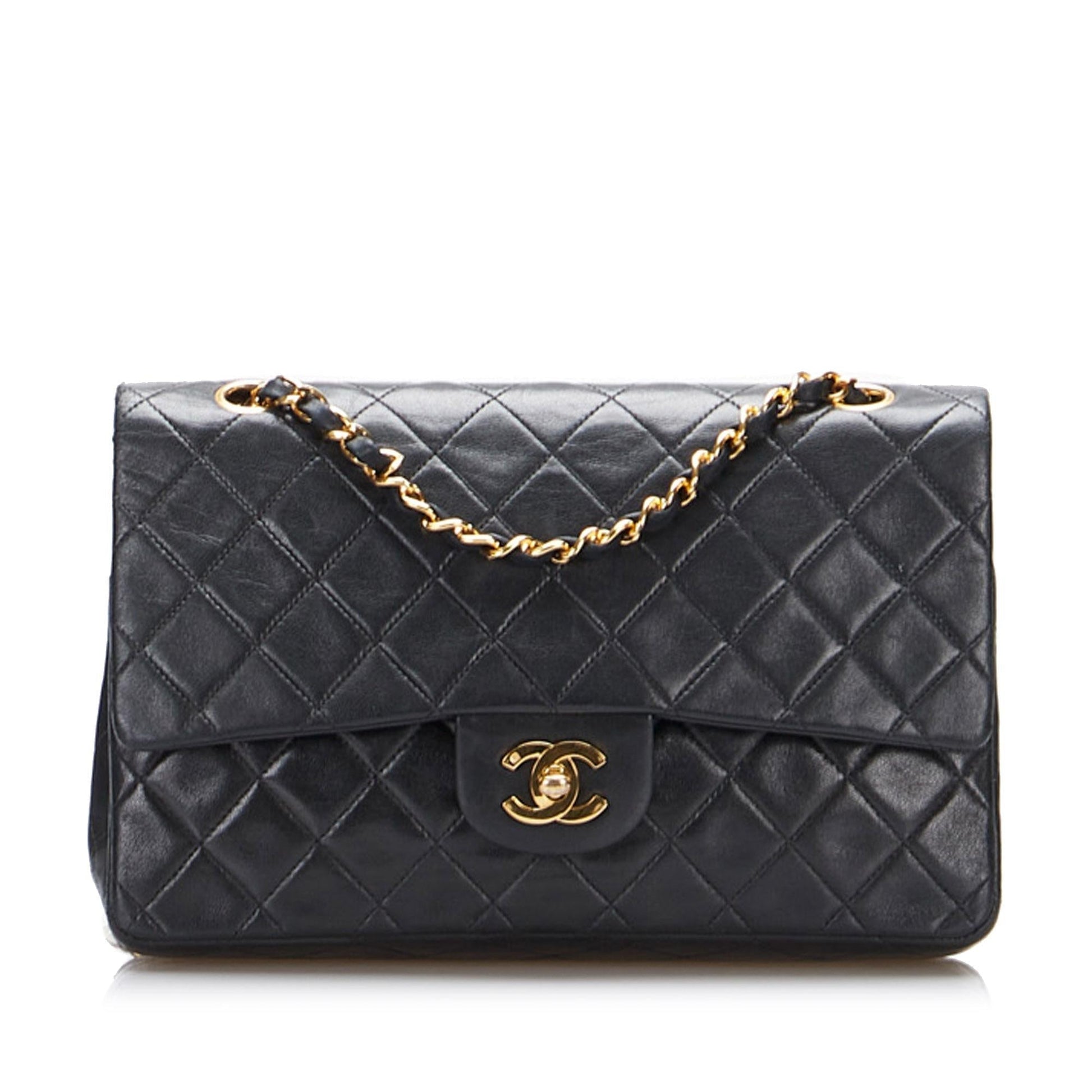 Chanel Timeless Classic Double Flap (SHG-kenjAg) - Handbags - 10