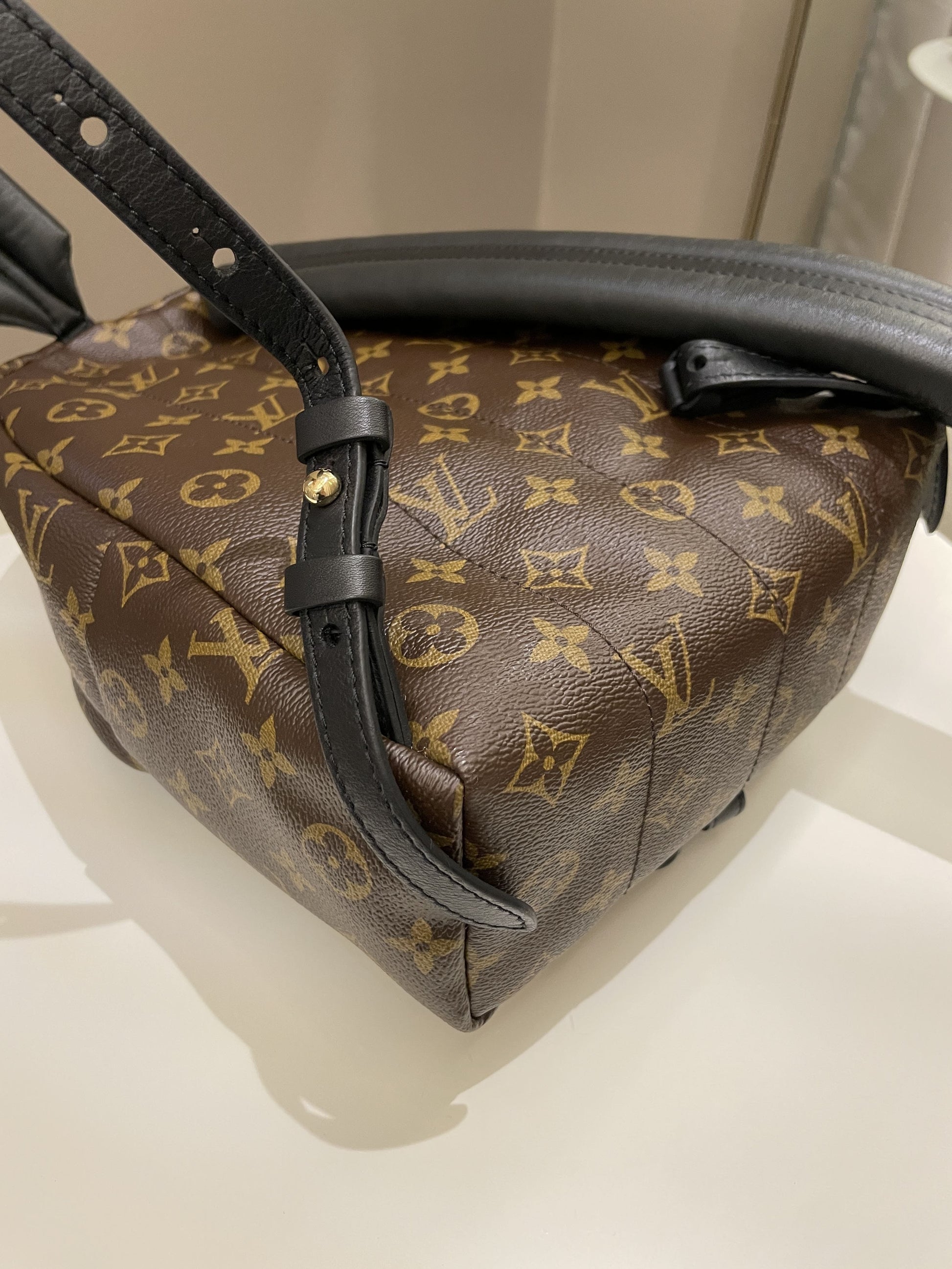 Louis Vuitton Palm Spring Backpack Classic Monogram - Bags - 9