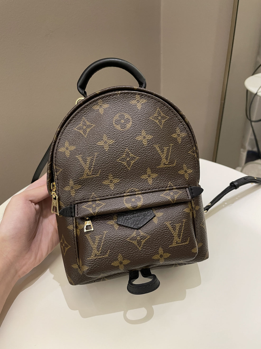 Louis Vuitton Palm Spring Mini Backpack Classic Monogram - Bags
