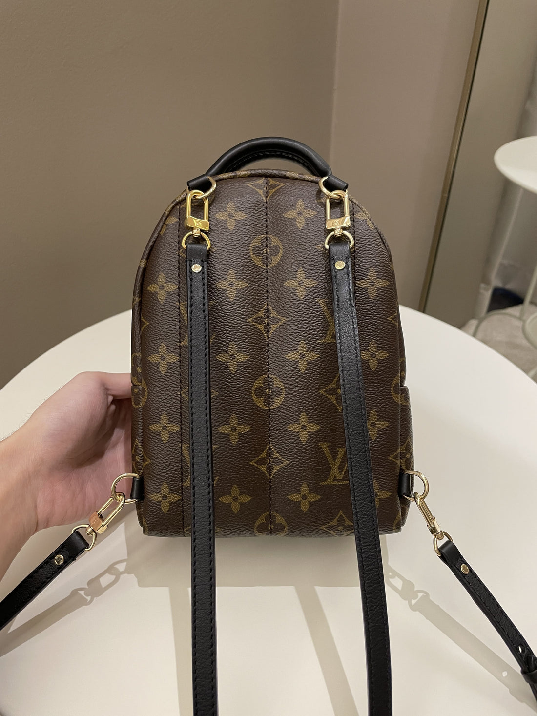 Louis Vuitton Palm Spring Mini Backpack Classic Monogram - Bags
