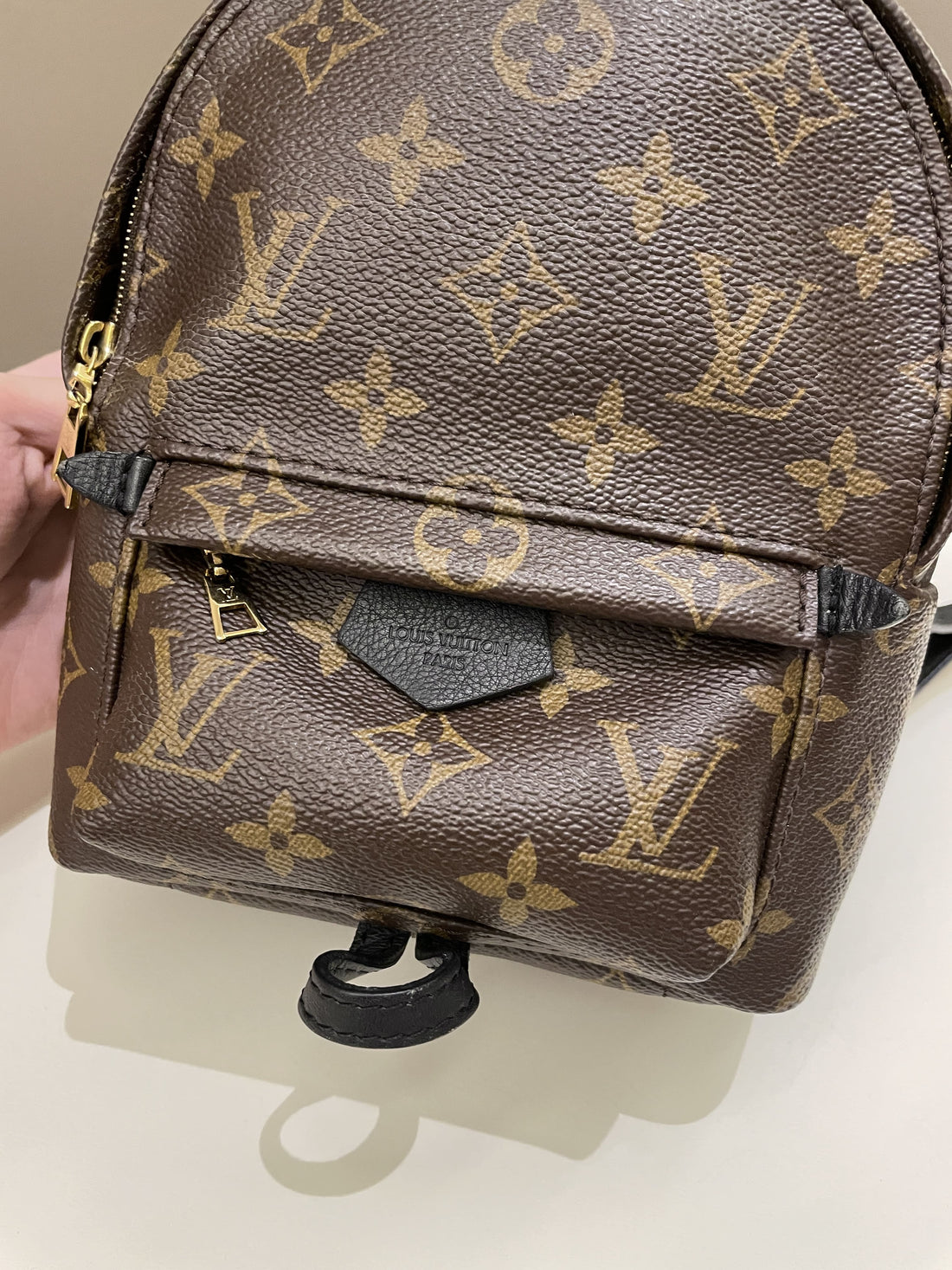 Louis Vuitton Palm Spring Mini Backpack Classic Monogram - Bags