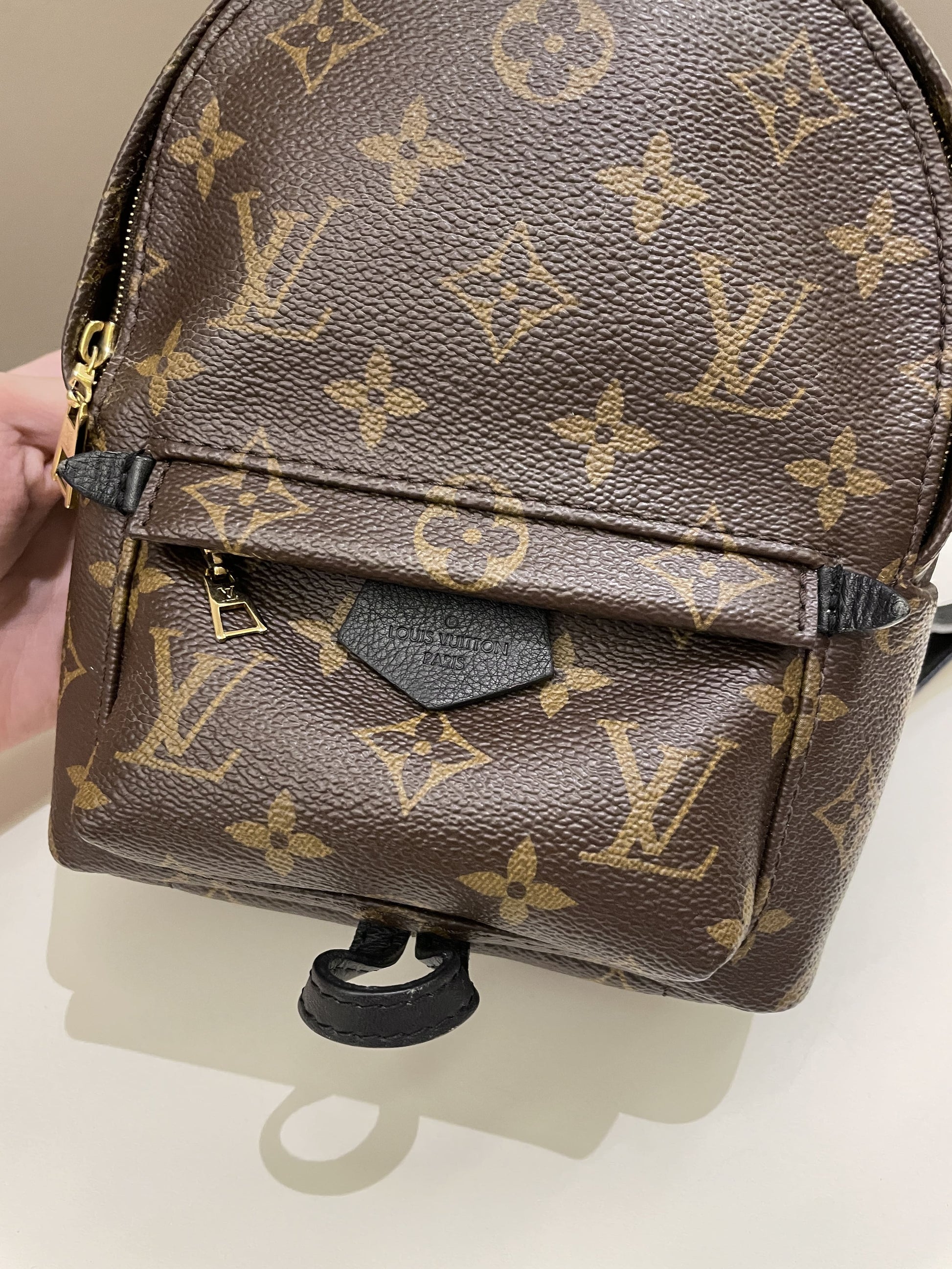 Louis Vuitton Palm Spring Mini Backpack Classic Monogram - Bags - 2