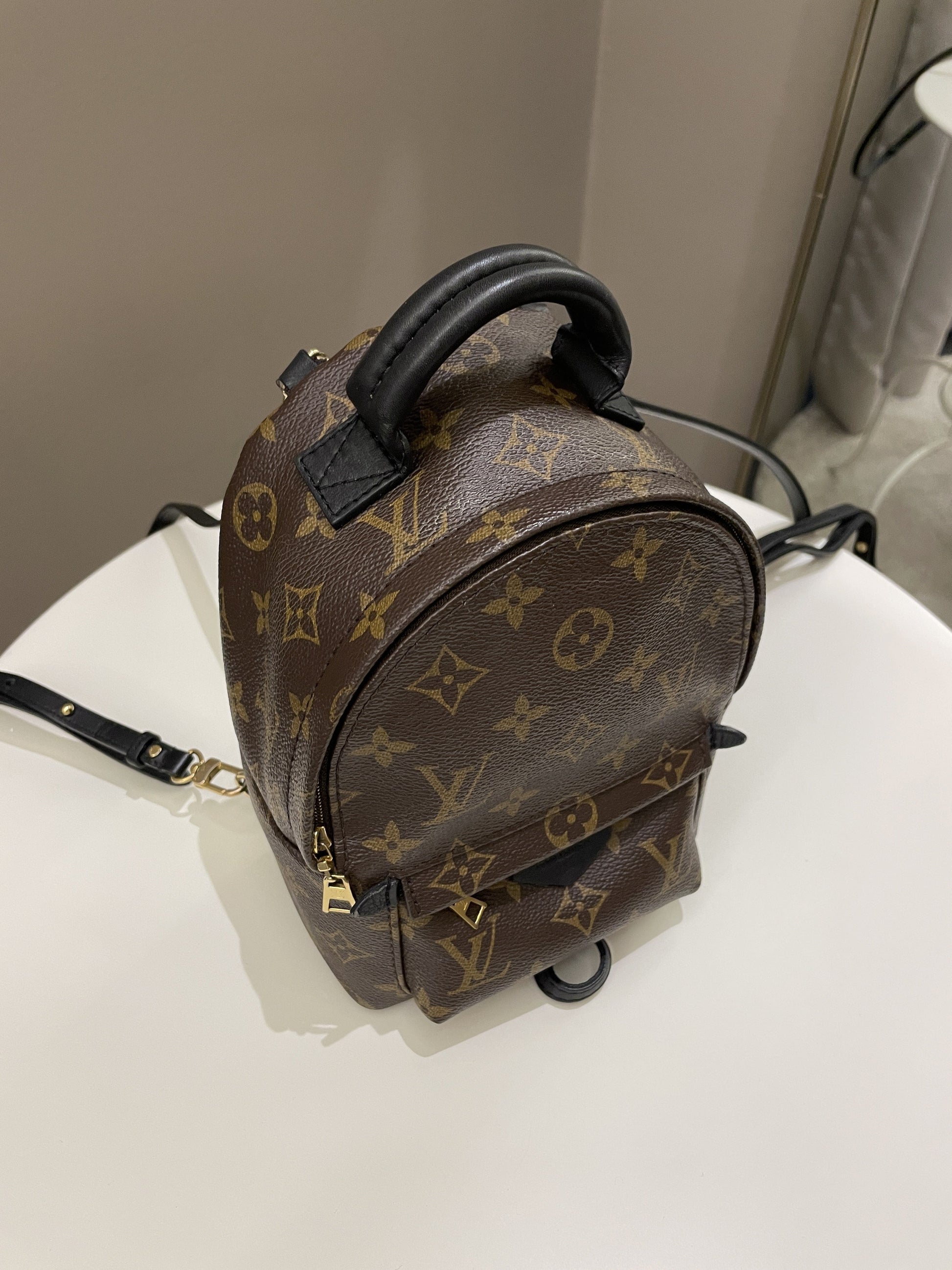 Louis Vuitton Palm Spring Mini Backpack Classic Monogram - Bags - 3