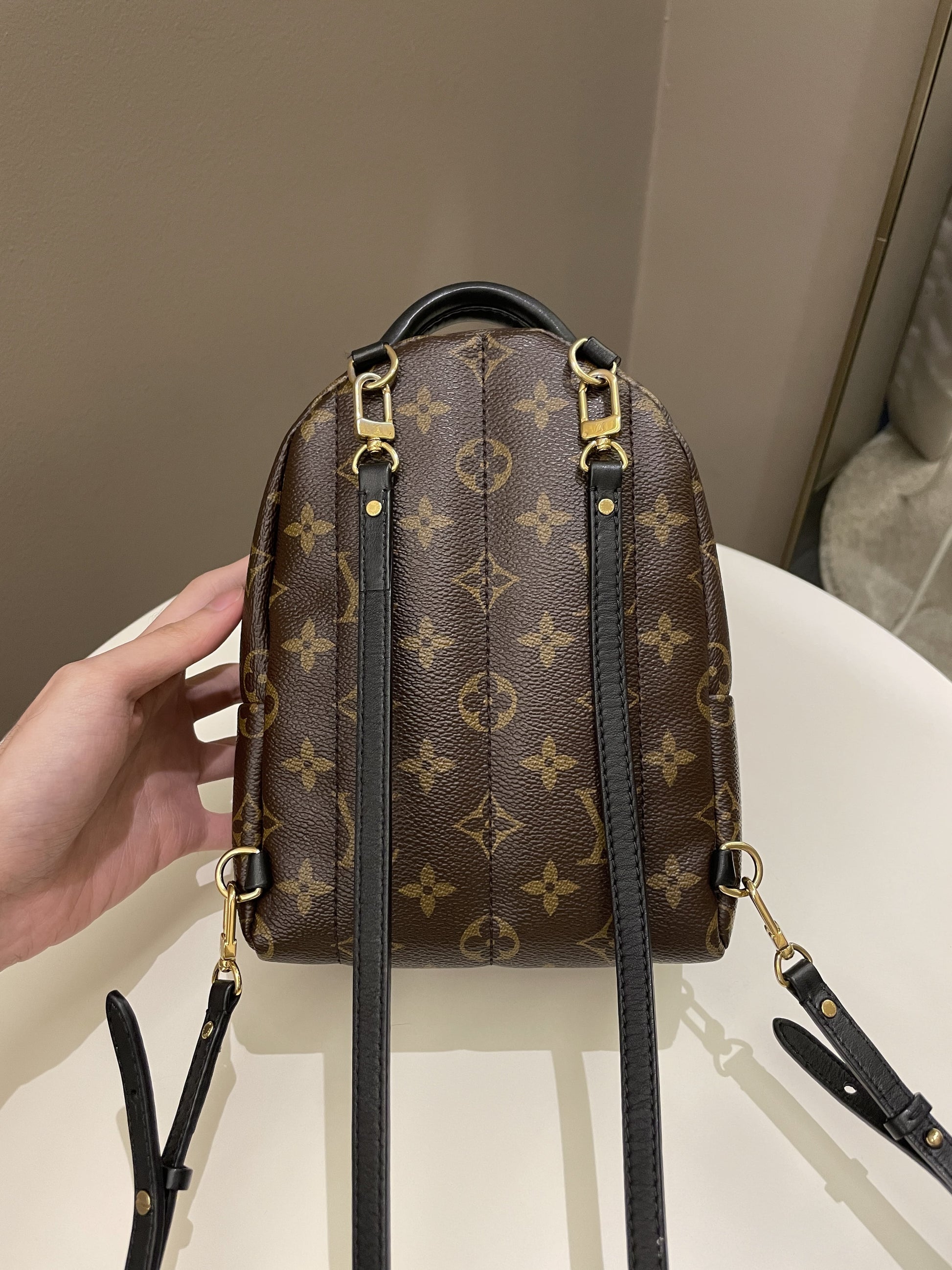 Louis Vuitton Palm Spring Mini Backpack Classic Monogram - Bags - 5