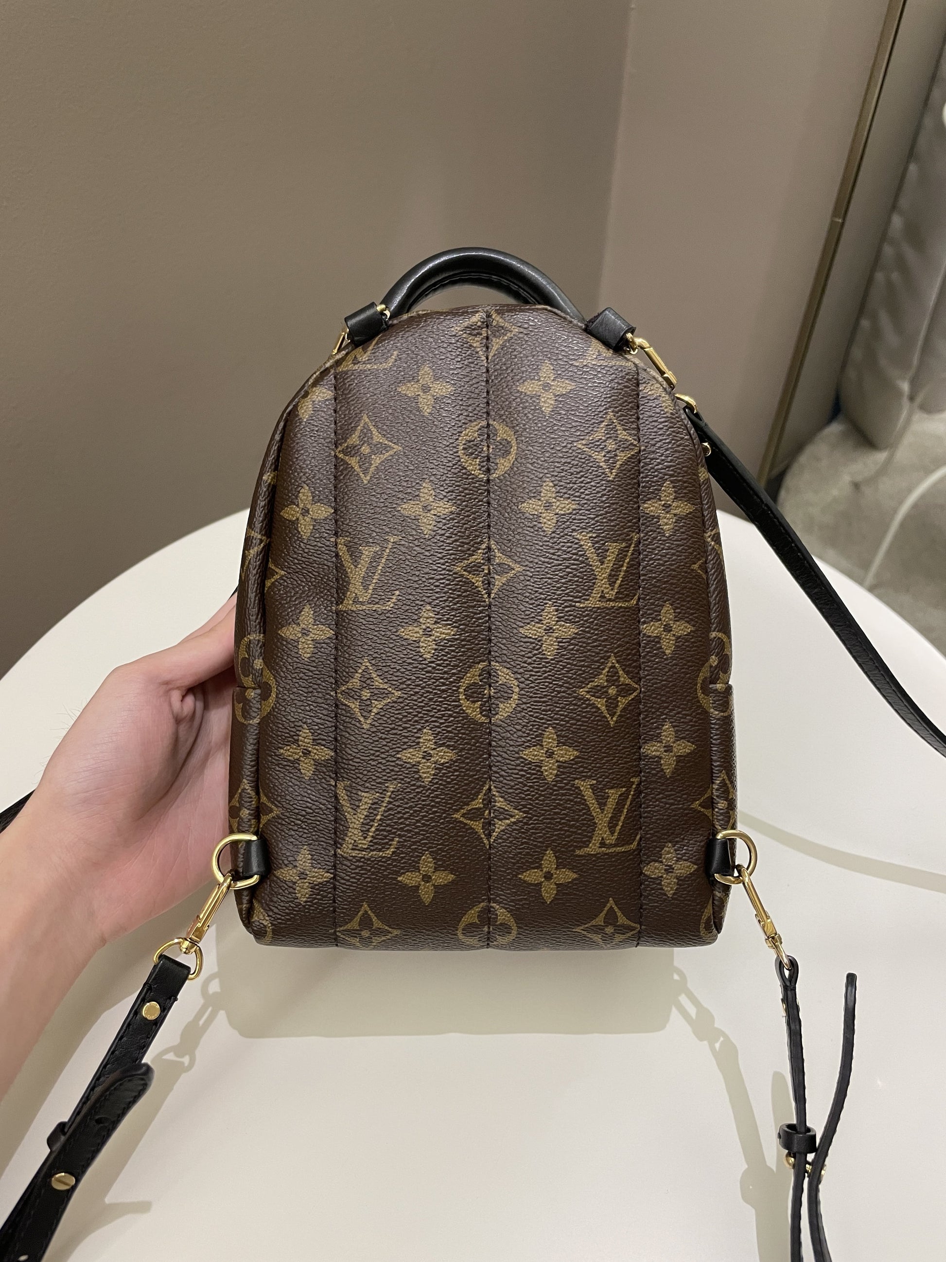 Louis Vuitton Palm Spring Mini Backpack Classic Monogram - Bags - 6