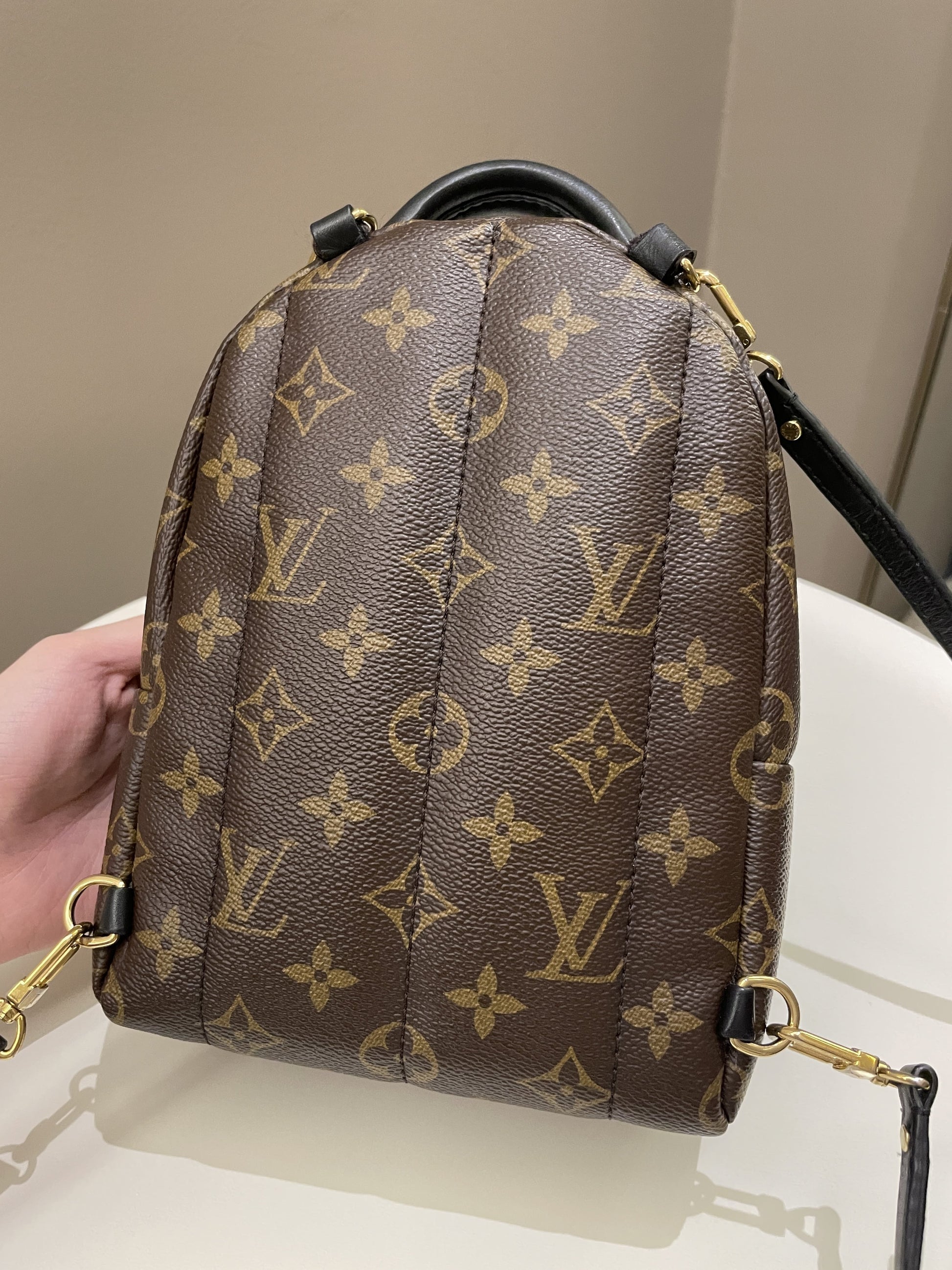 Louis Vuitton Palm Spring Mini Backpack Classic Monogram - Bags - 7