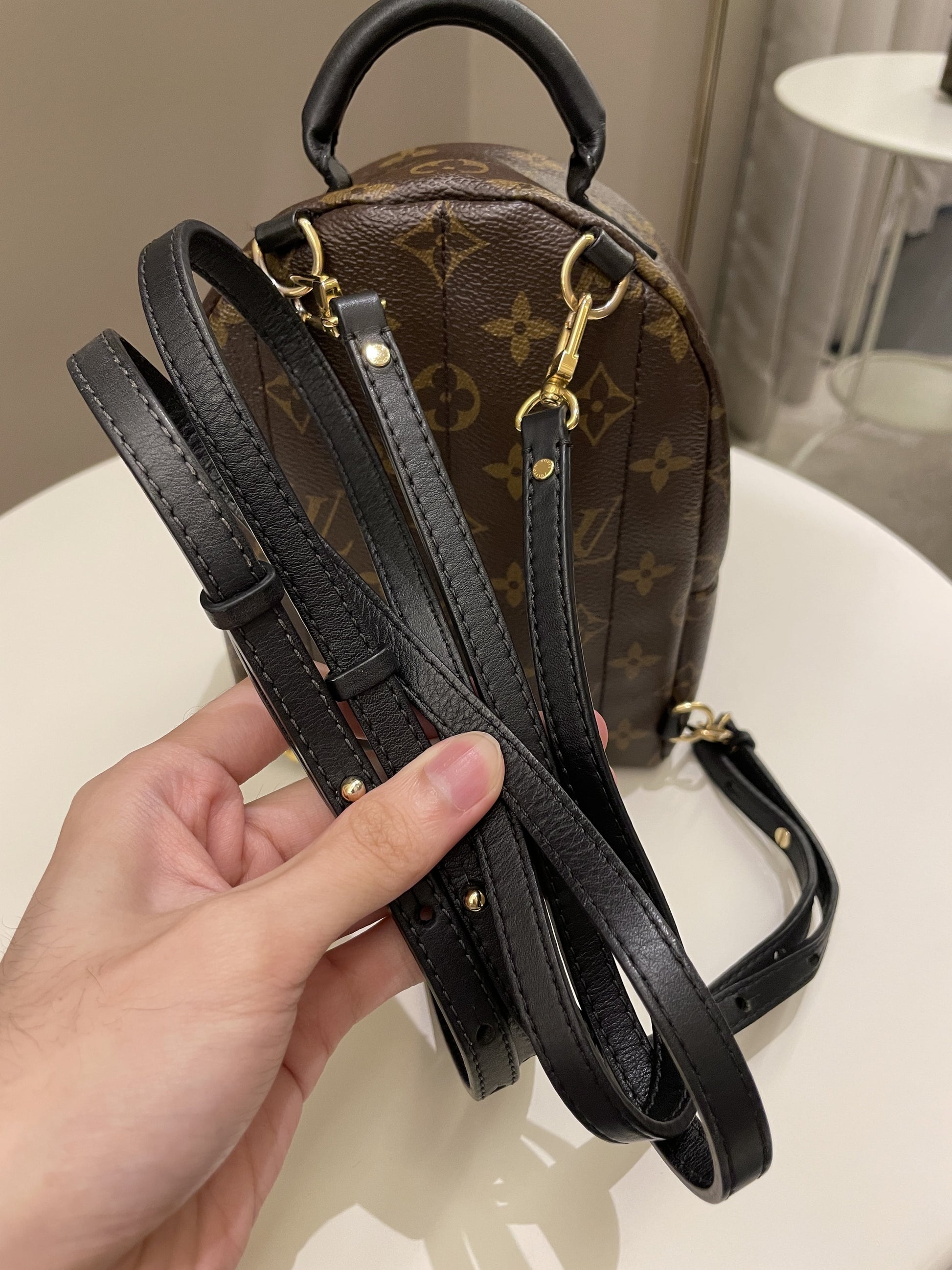 Louis Vuitton Palm Spring Mini Backpack Classic Monogram - Bags - 19