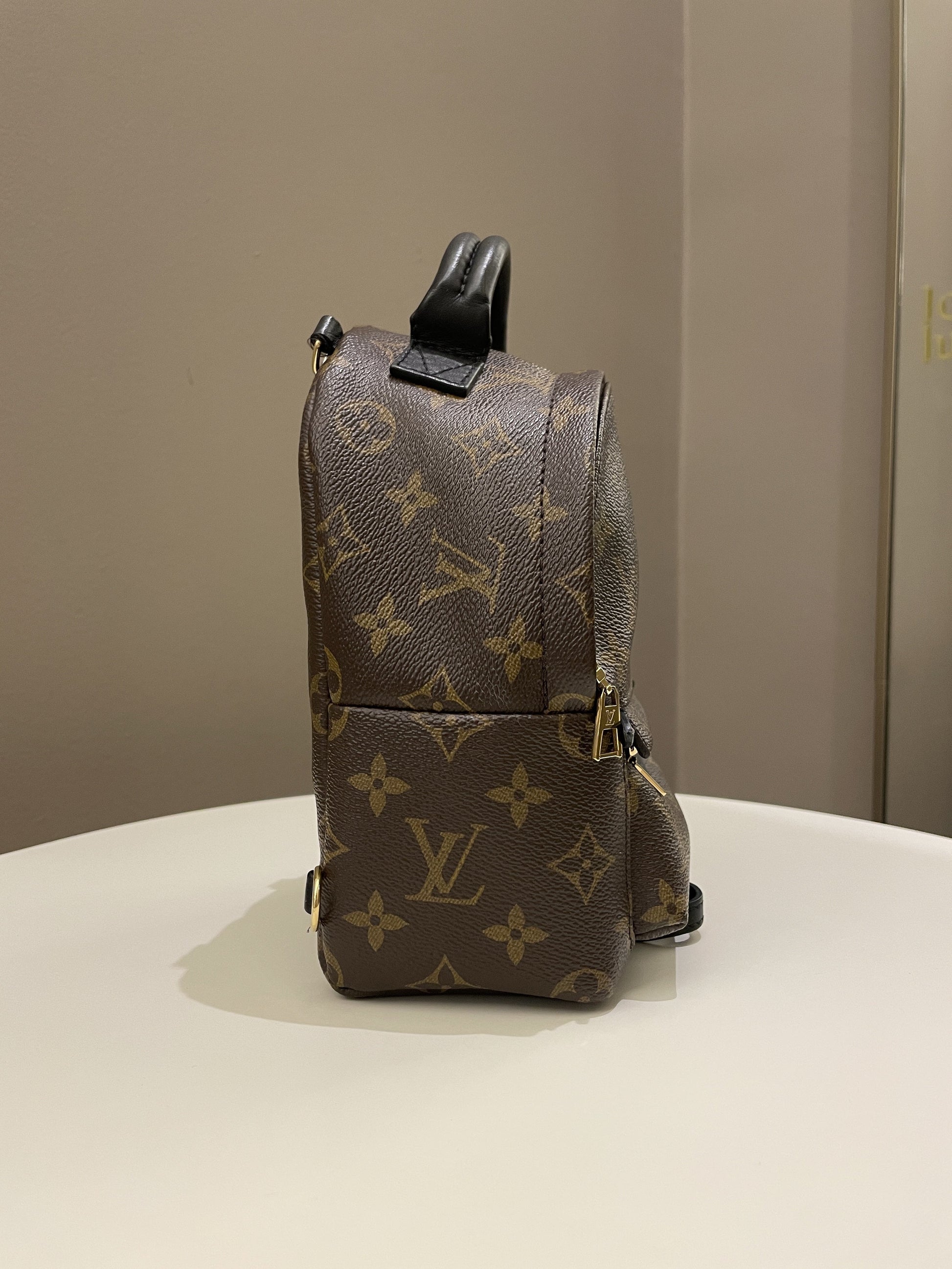 Louis Vuitton Palm Spring Mini Backpack Classic Monogram - Bags - 9