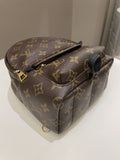 Louis Vuitton Palm Spring Mini Backpack Classic Monogram - Bags - 12