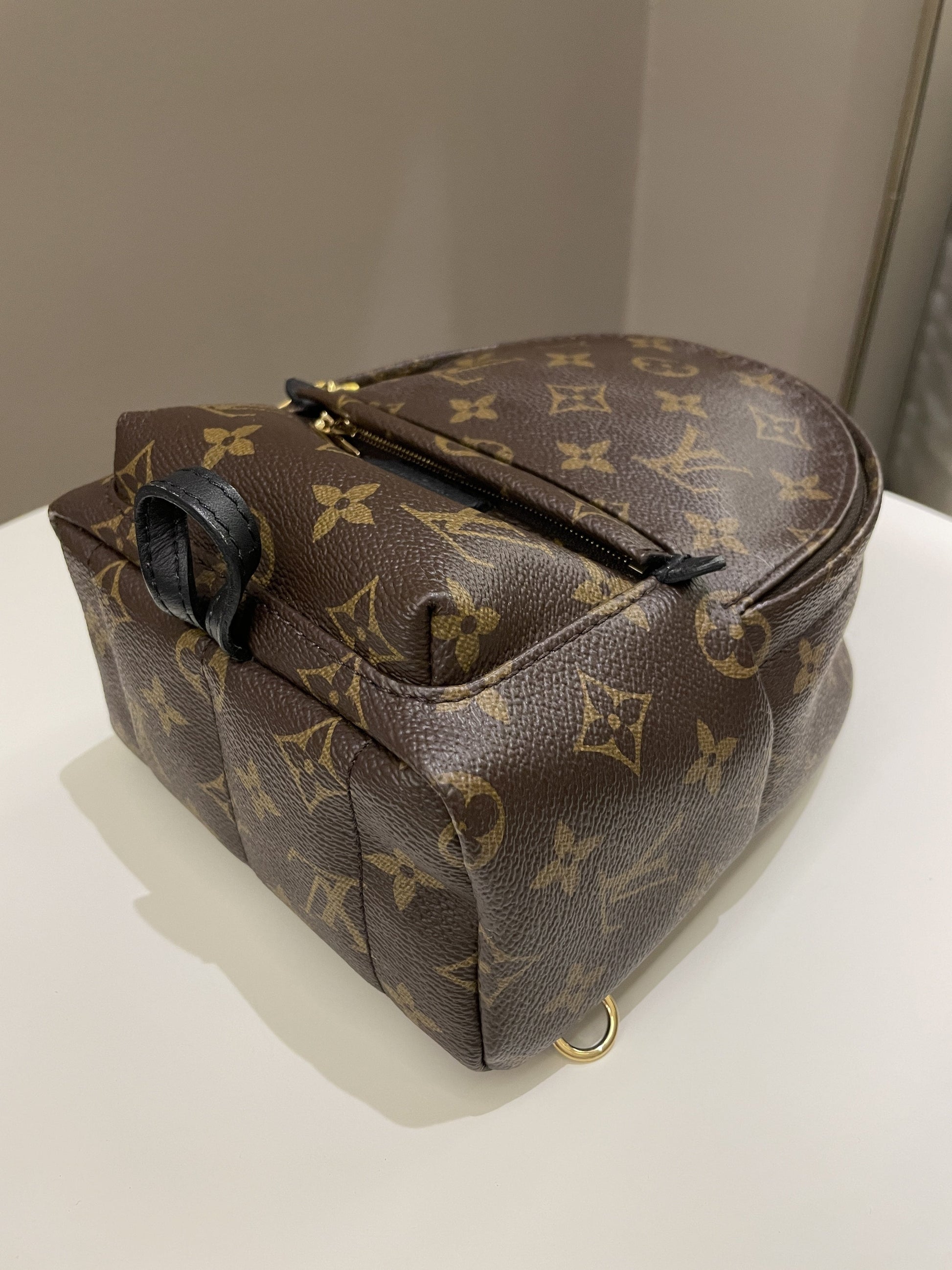 Louis Vuitton Palm Spring Mini Backpack Classic Monogram - Bags - 13