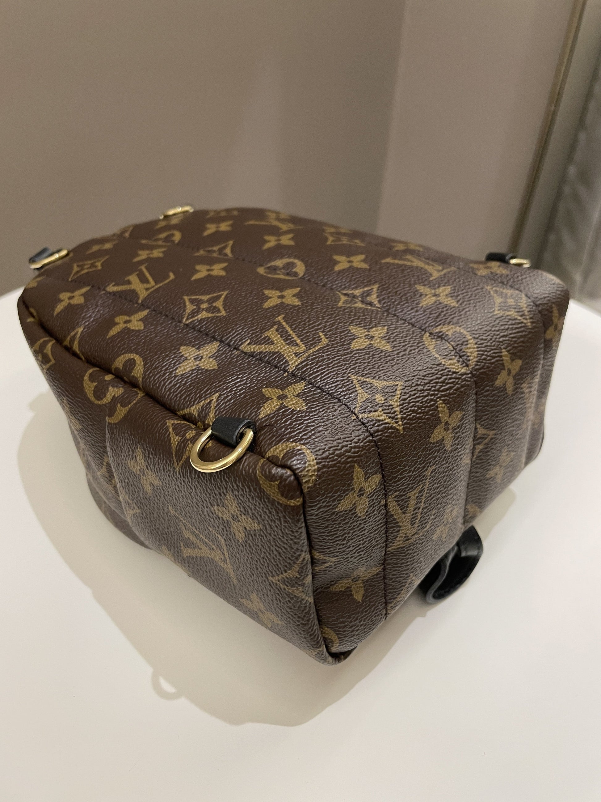Louis Vuitton Palm Spring Mini Backpack Classic Monogram - Bags - 14