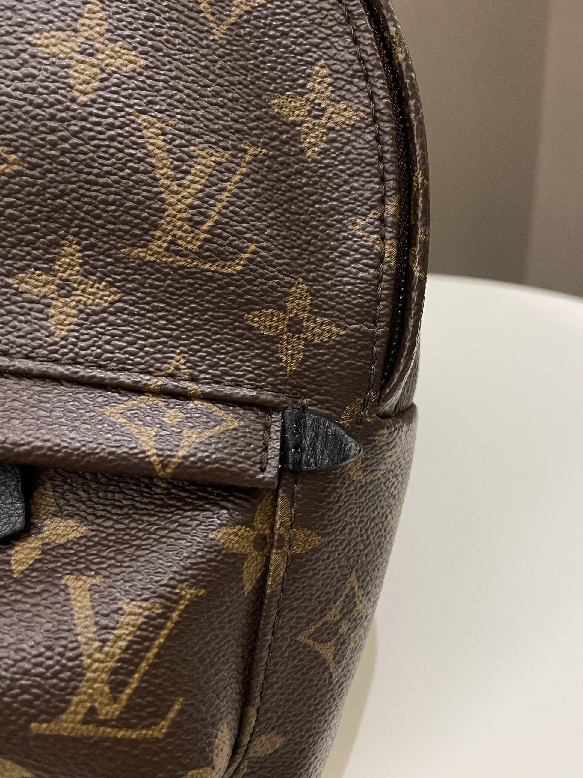 Louis Vuitton Palm Spring Mini Backpack Classic Monogram - Bags - 18