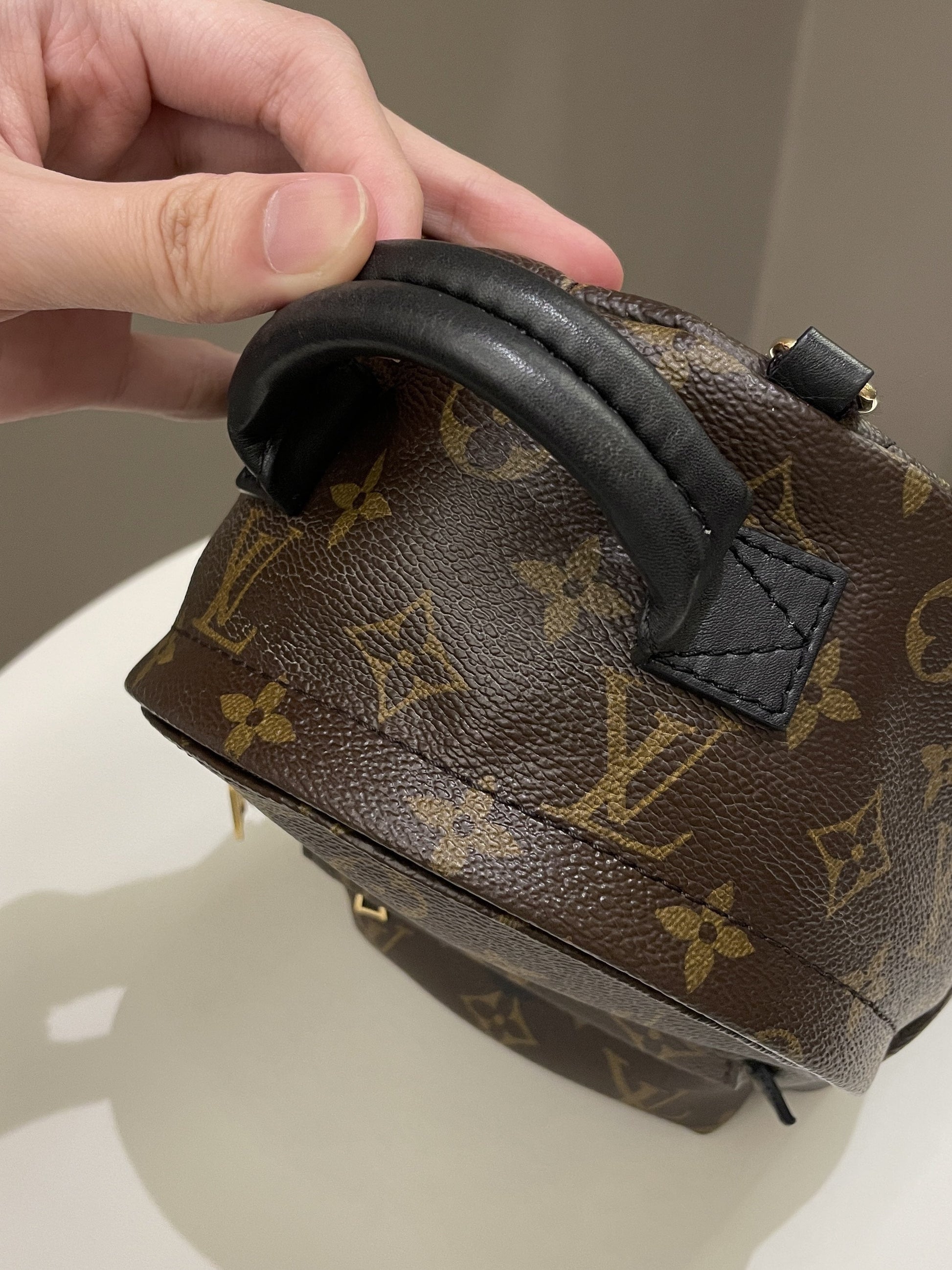 Louis Vuitton Palm Spring Mini Backpack Classic Monogram - Bags - 4