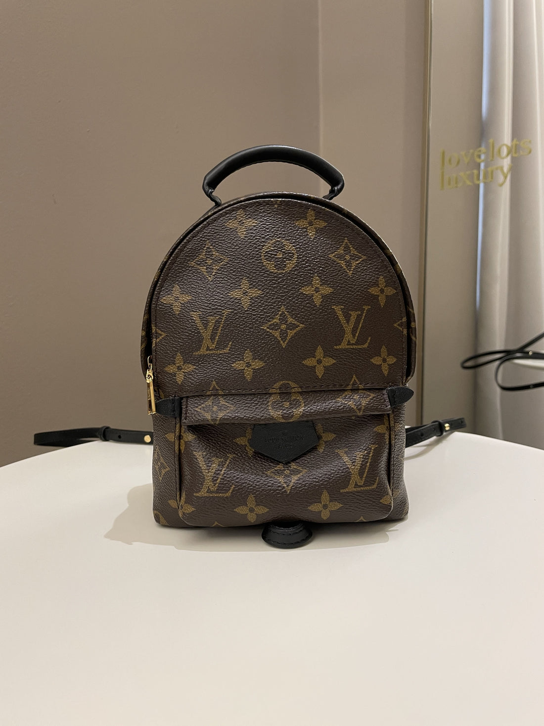 Louis Vuitton Palm Spring Mini Backpack Classic Monogram - Bags