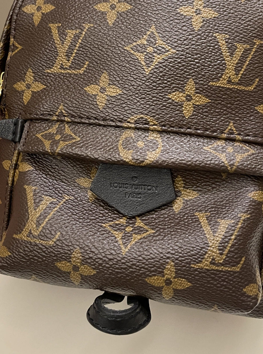 Louis Vuitton Palm Spring Mini Backpack Classic Monogram - Bags