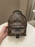 Louis Vuitton Palm Spring Mini Backpack Classic Monogram - Bags - 17