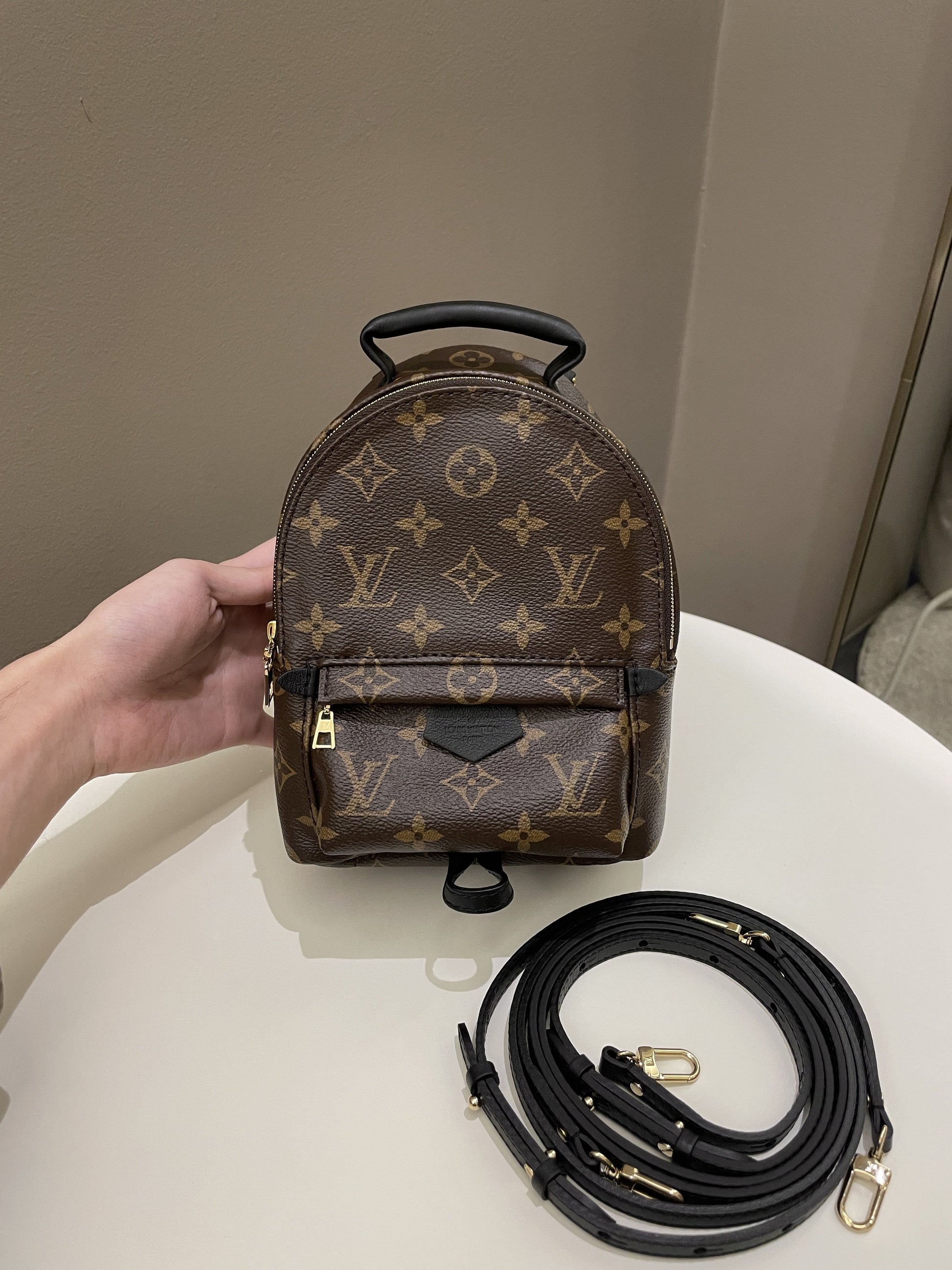 Louis Vuitton Palm Spring Mini Backpack Classic Monogram - Bags - 15