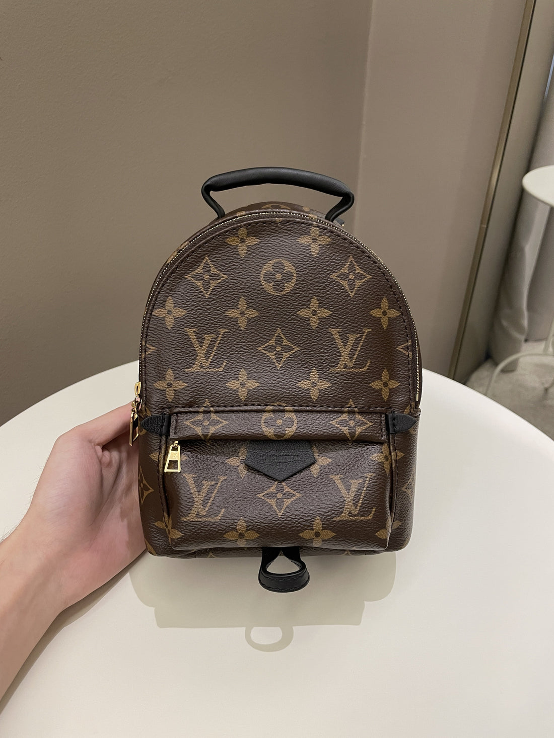 Louis Vuitton Palm Spring Mini Backpack Classic Monogram - Bags