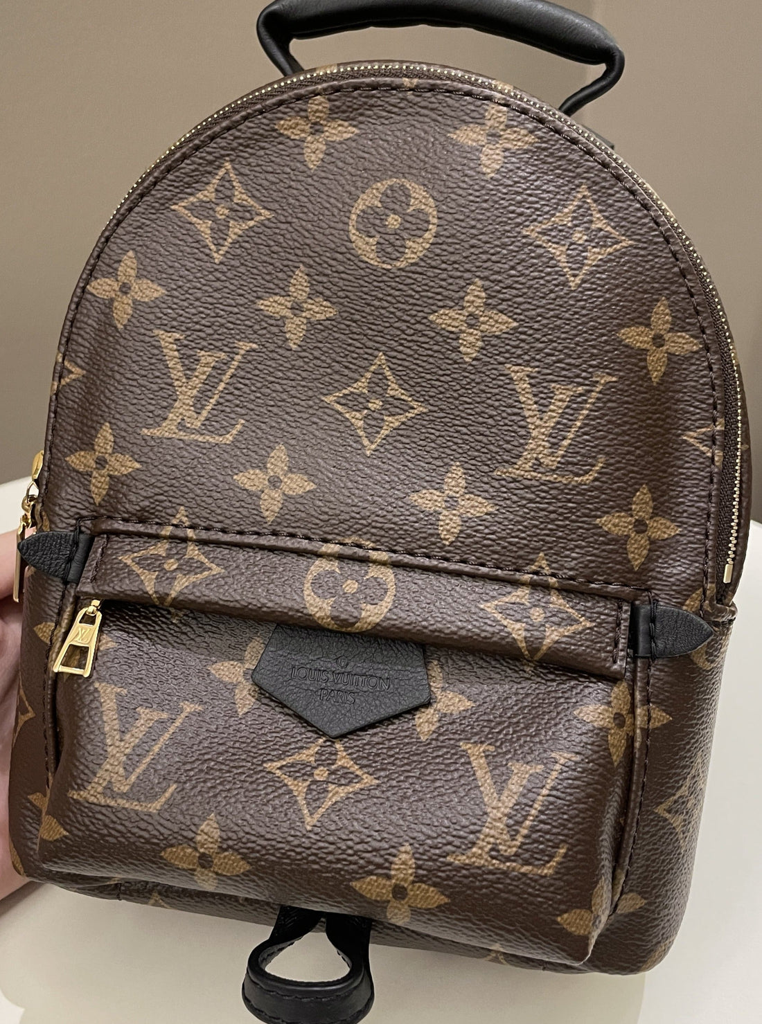 Louis Vuitton Palm Spring Mini Backpack Classic Monogram - Bags
