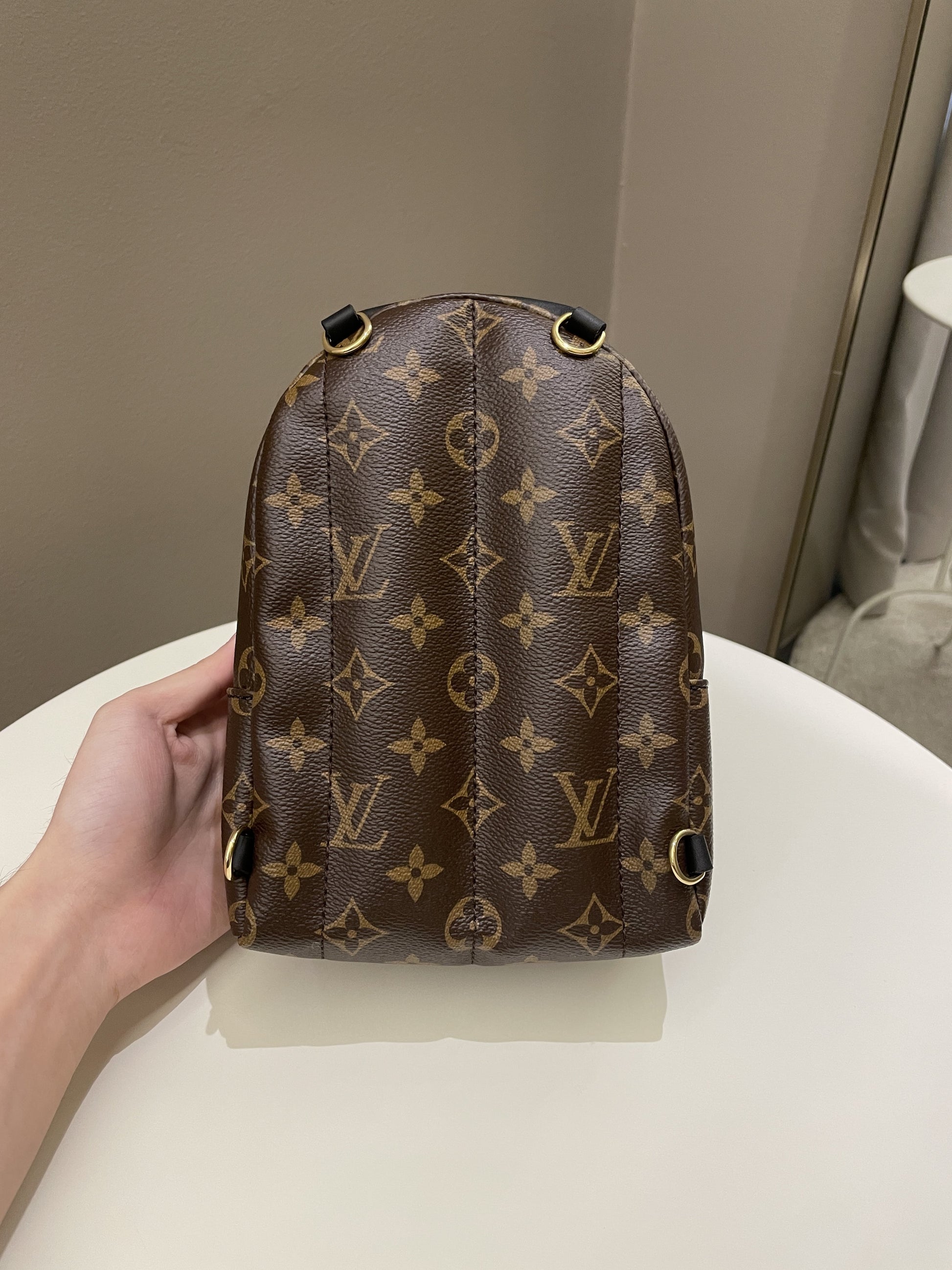 Louis Vuitton Palm Spring Mini Backpack Classic Monogram - Bags - 3