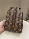 Louis Vuitton Palm Spring Mini Backpack Classic Monogram - Bags - 4