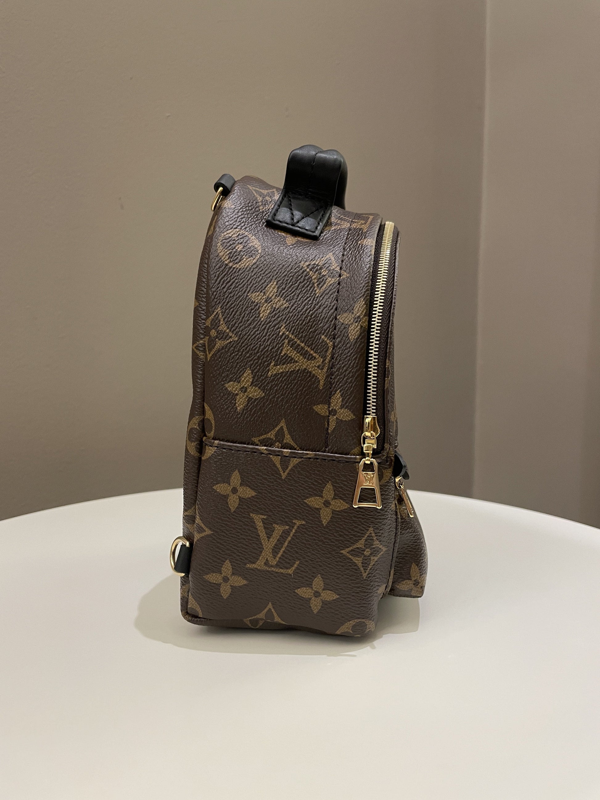 Louis Vuitton Palm Spring Mini Backpack Classic Monogram - Bags - 5