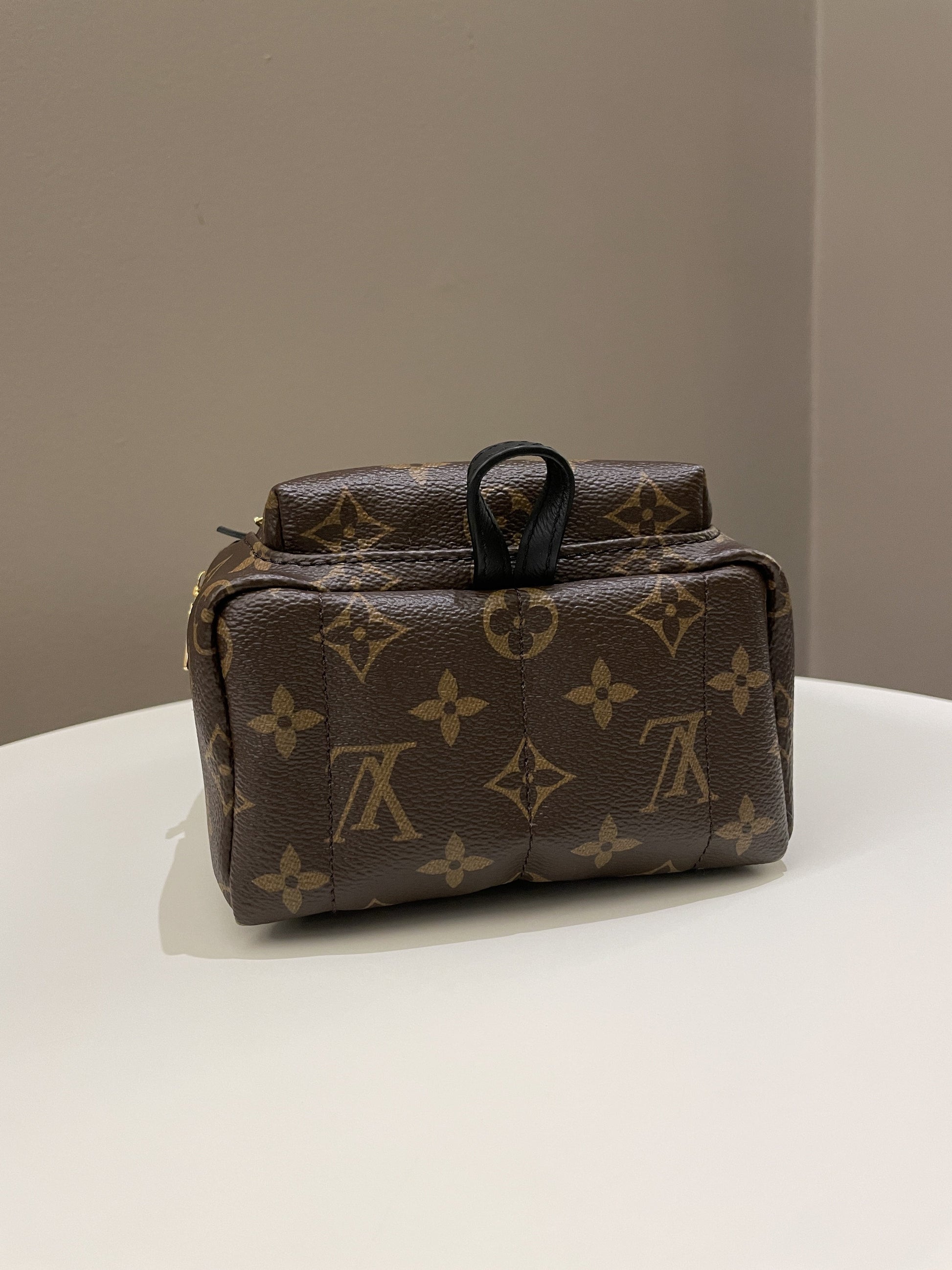 Louis Vuitton Palm Spring Mini Backpack Classic Monogram - Bags - 7