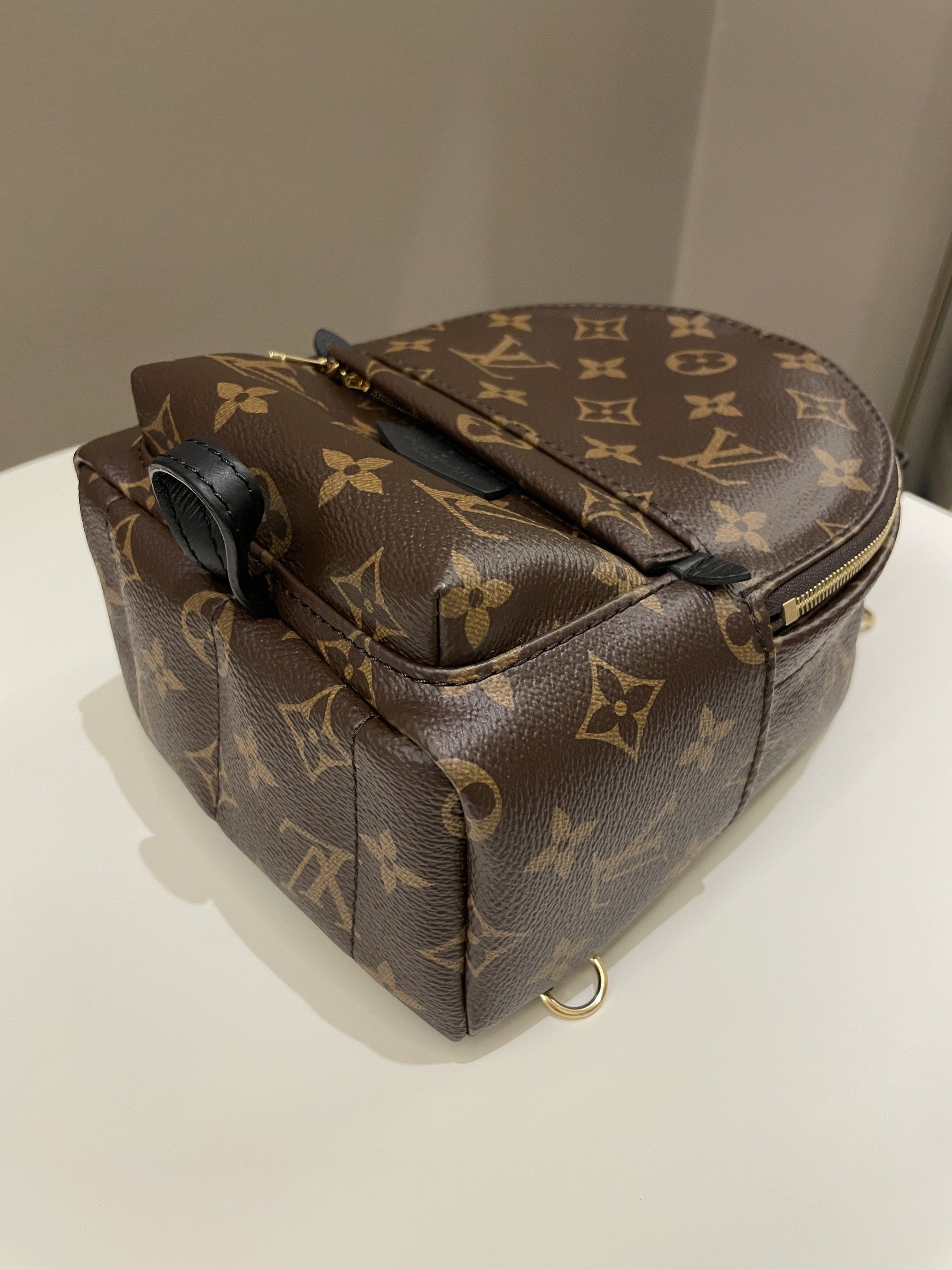 Louis Vuitton Palm Spring Mini Backpack Classic Monogram - Bags - 9