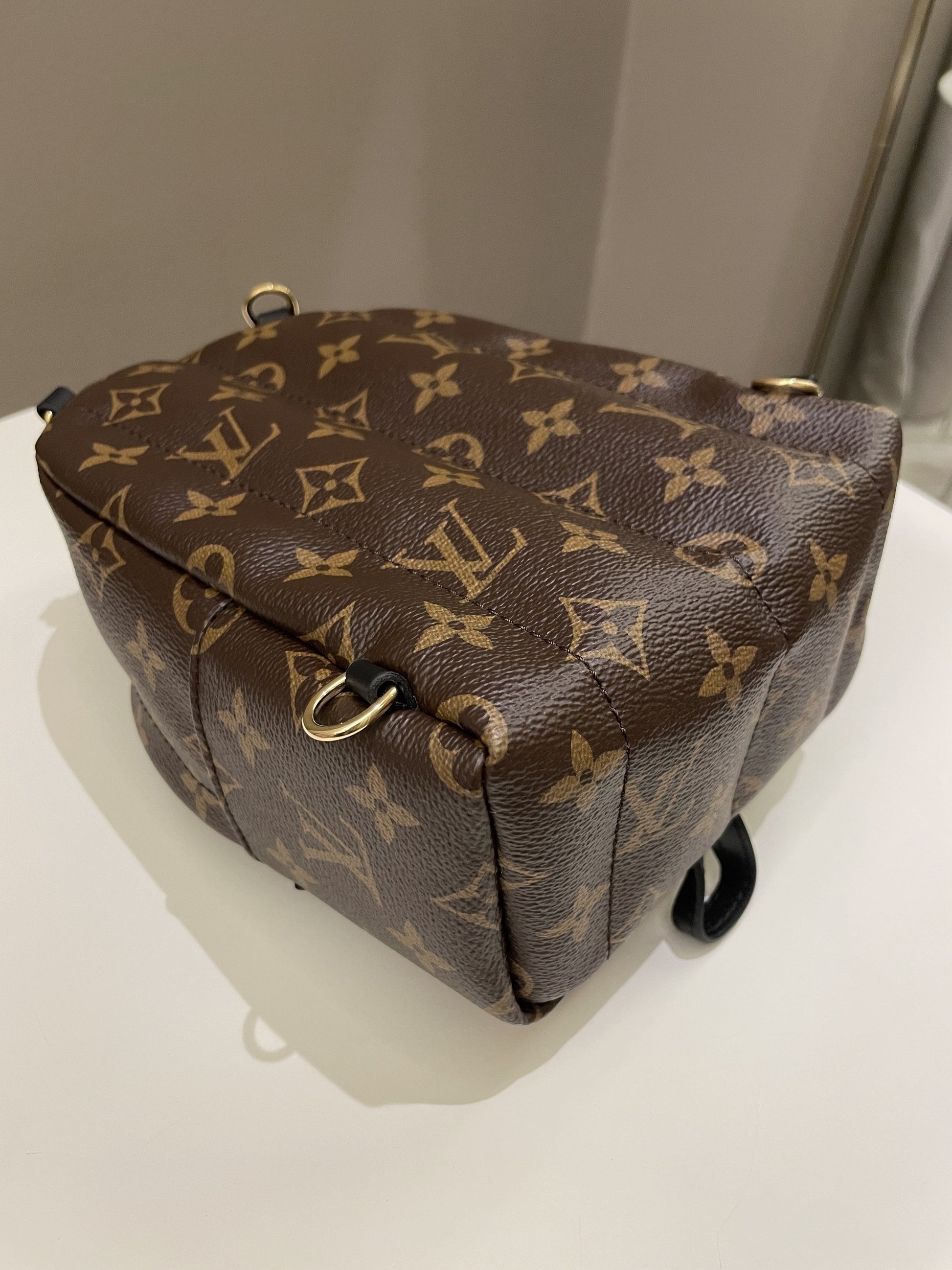 Louis Vuitton Palm Spring Mini Backpack Classic Monogram - Bags - 10