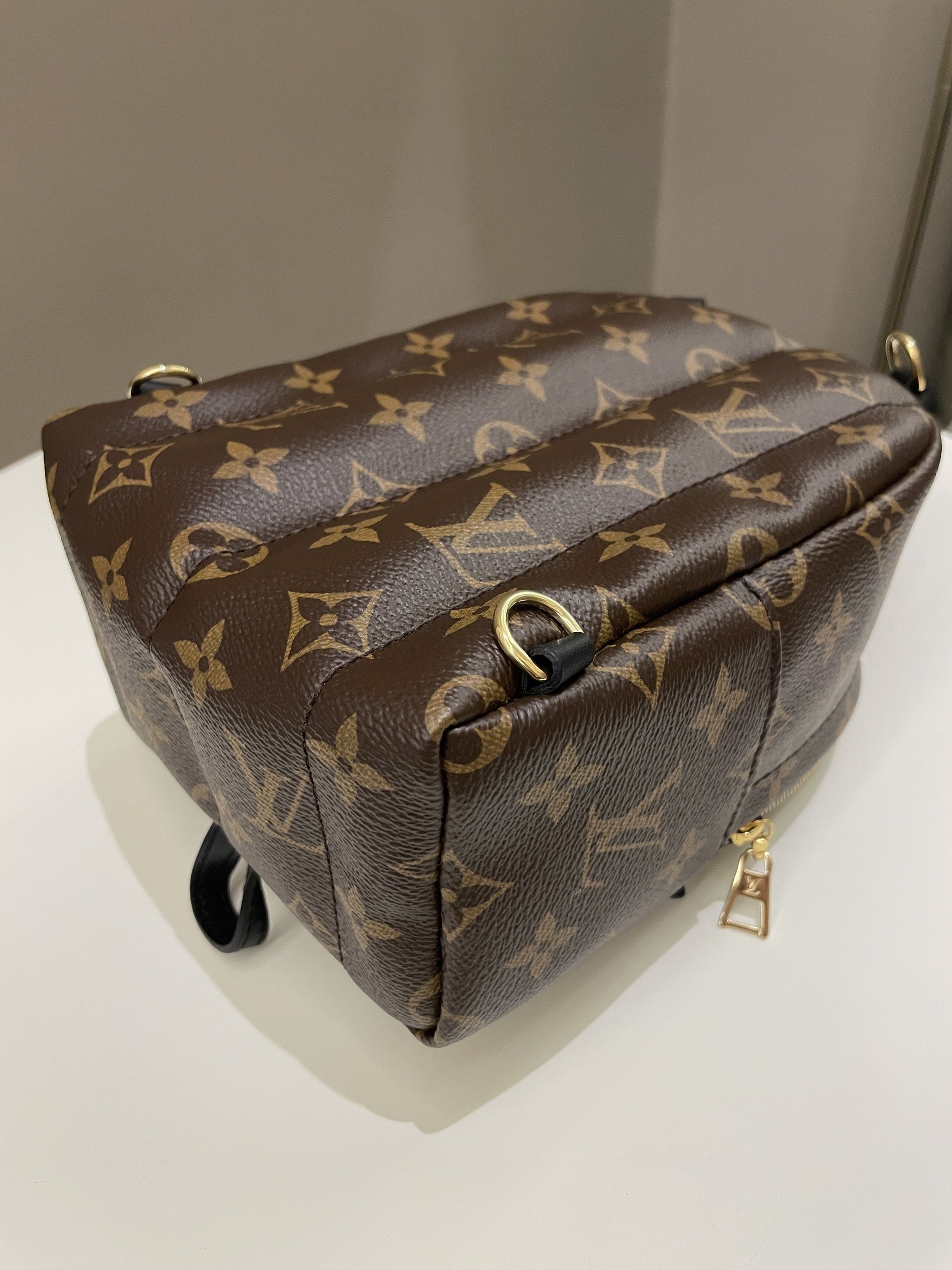 Louis Vuitton Palm Spring Mini Backpack Classic Monogram - Bags - 11