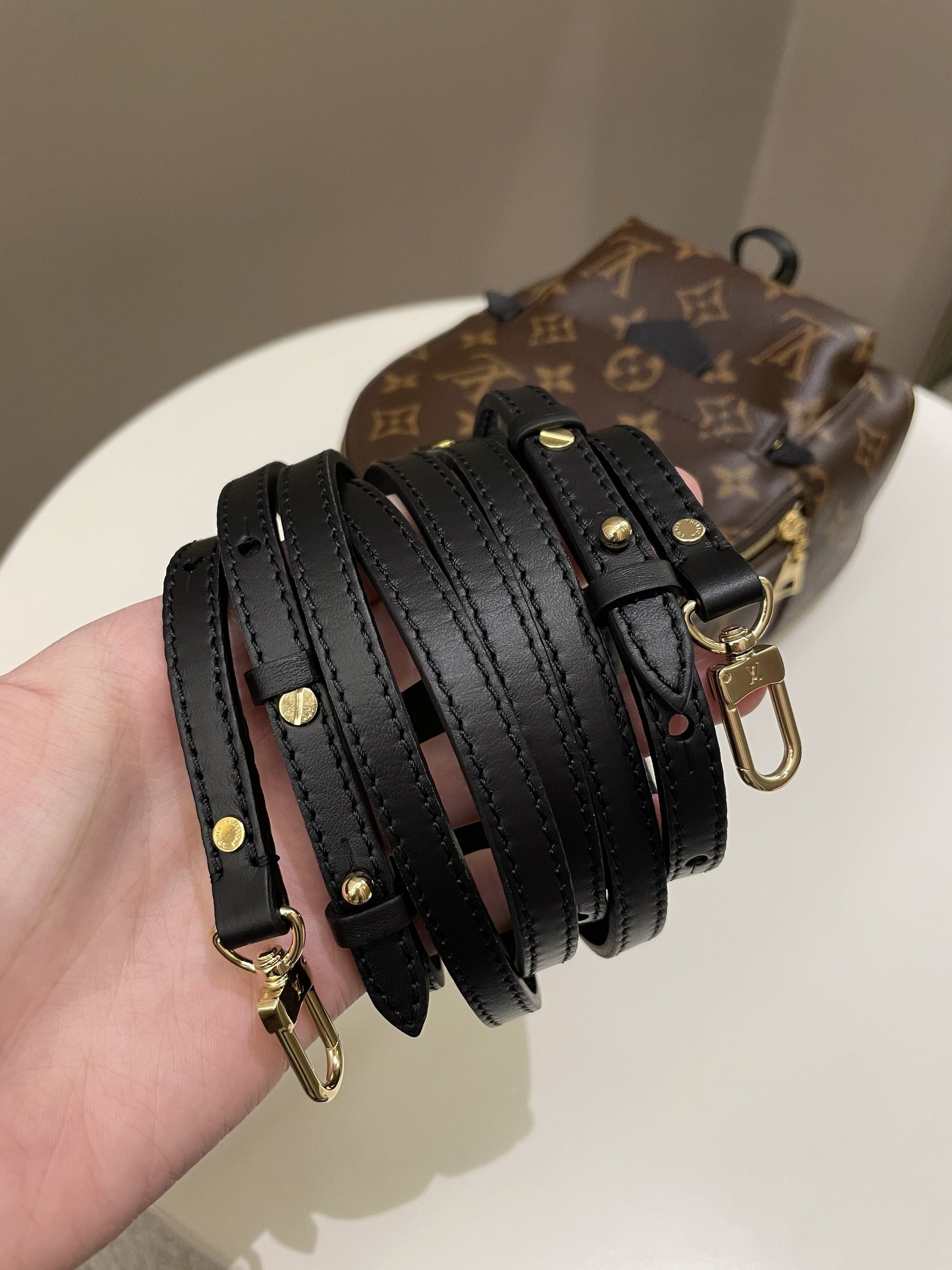 Louis Vuitton Palm Spring Mini Backpack Classic Monogram - Bags - 13