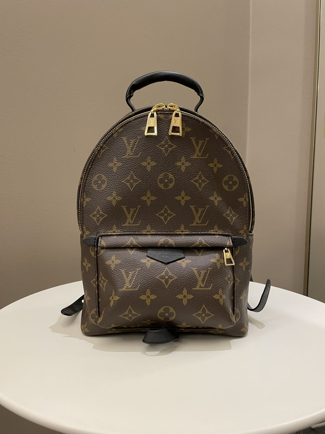 Louis Vuitton Palm Spring Backpack PM Classic Monogram - Bags