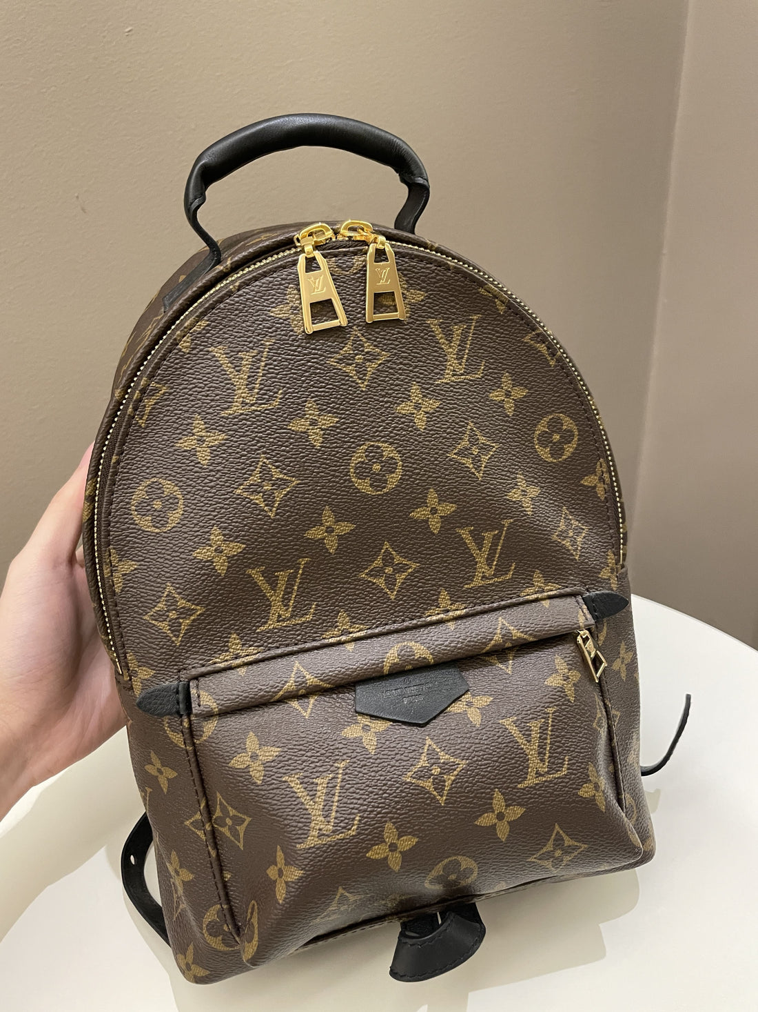Louis Vuitton Palm Spring Backpack PM Classic Monogram - Bags