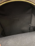 Louis Vuitton Palm Spring Backpack PM Classic Monogram - Bags - 15