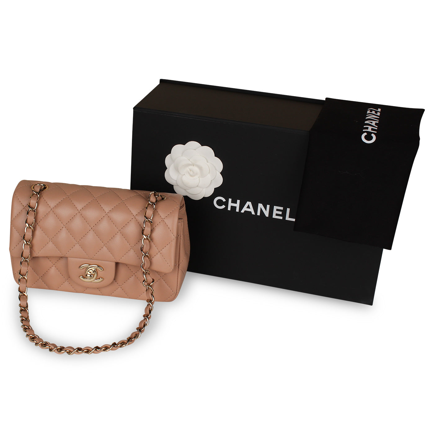 Classic Flap Bag - Mini Rectangular - Shoulder Bags - 10