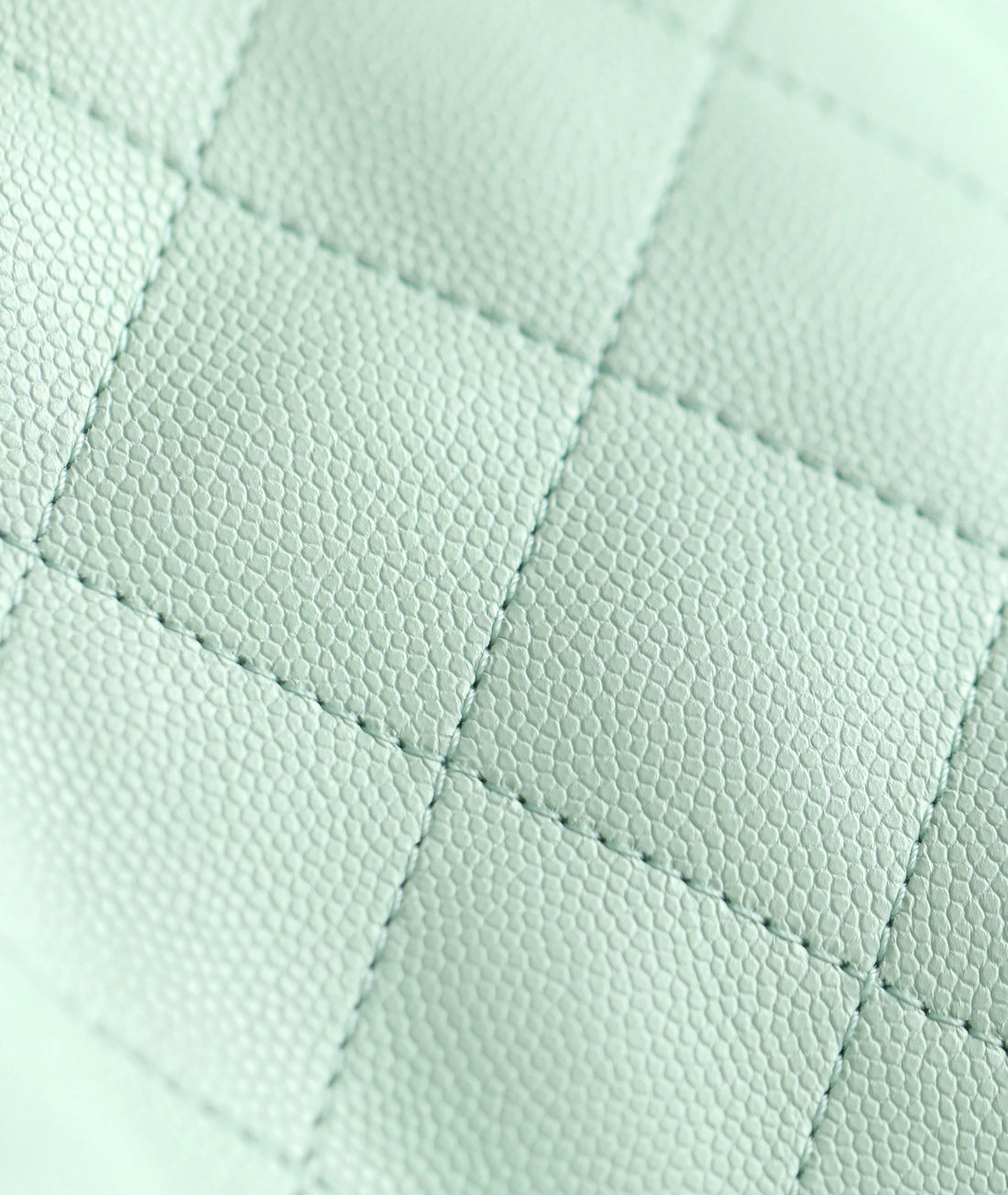 Chanel 2025 Hobo Bag 30 cm Hellgrünes Kaviarleder 338737