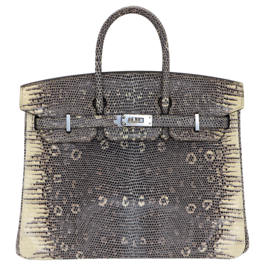Hermes25cm Birkin Ombre Lizard Palladium Hardware | Studio Nafay
