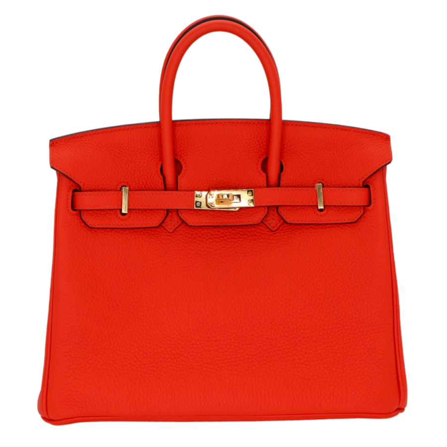 Hermes25cm Birkin Feu Togo Leather Gold Hardware | Studio Nafay