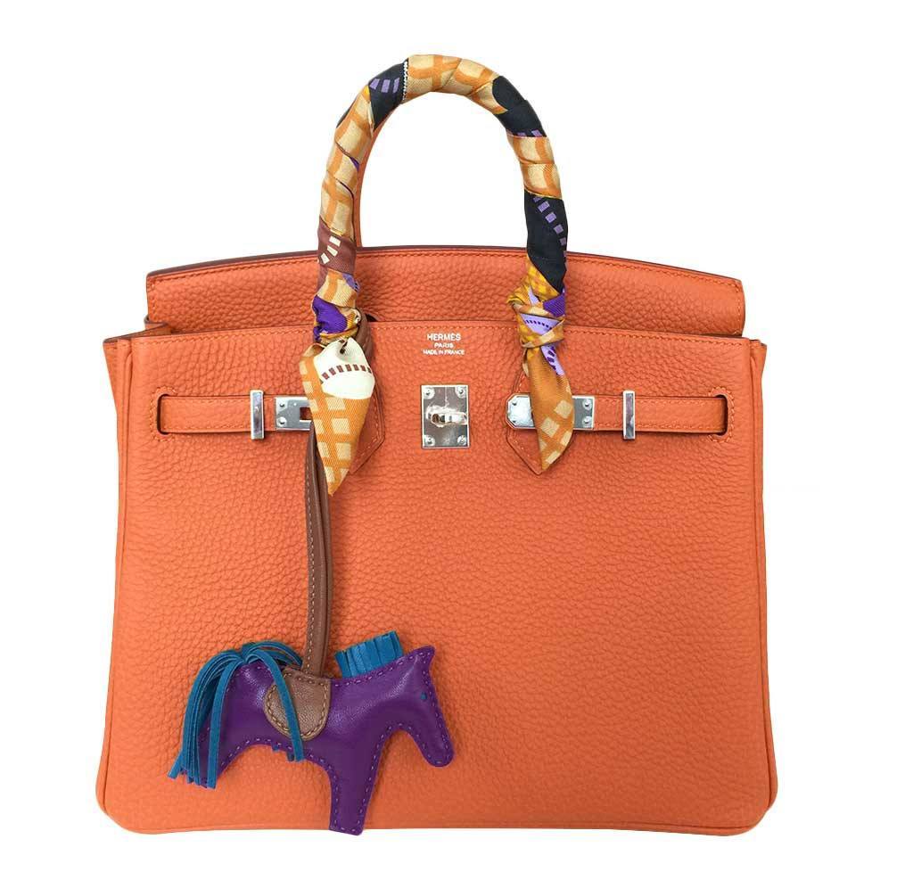 HermesBirkin 25 Feu Clemence Bag