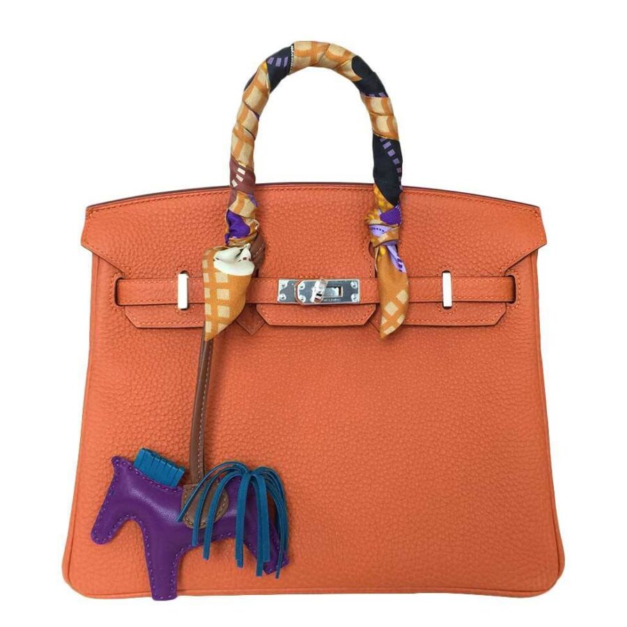 HermesBirkin 25 Feu Clemence Bag | Studio Nafay