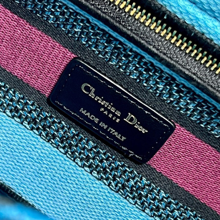 CD Elephant Blue 24 Lady Dior Bag Canvas 336679 | Studio Nafay