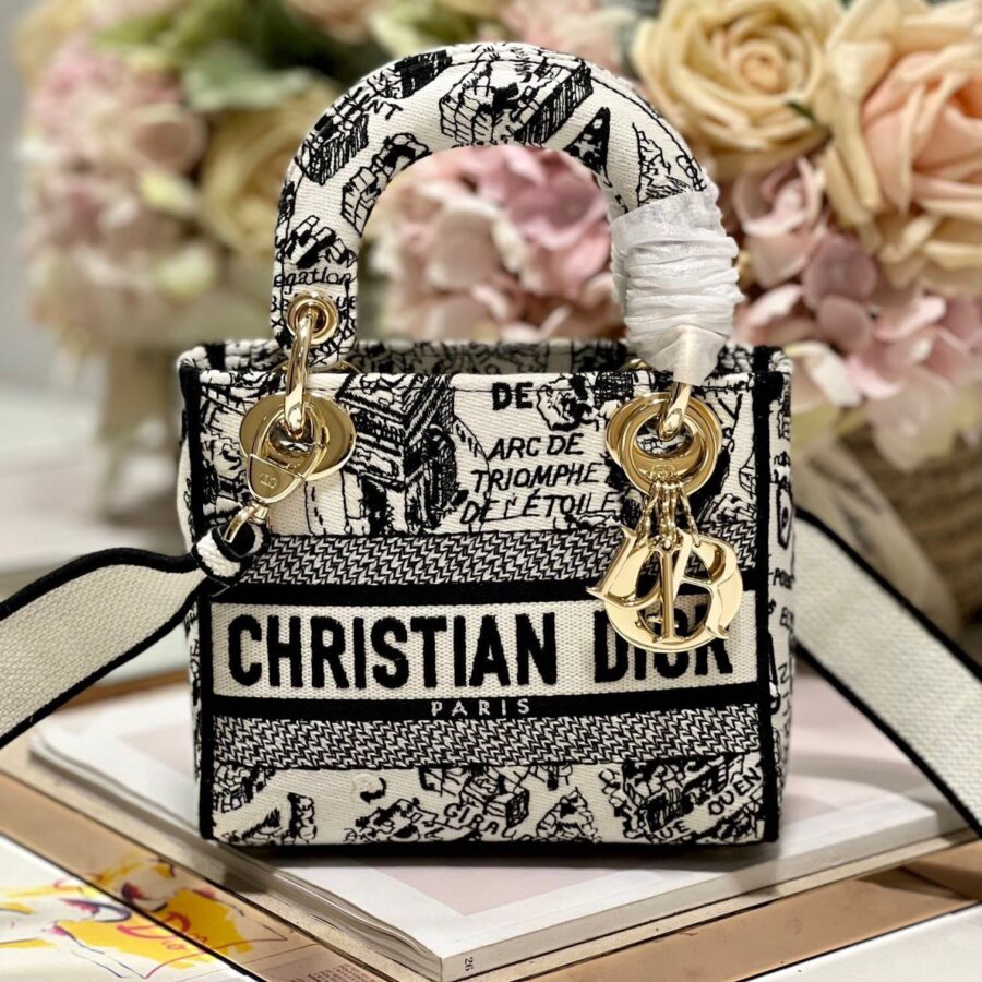 CD Paris White 17 Lady Dior Bag Canvas 336756 | Studio Nafay