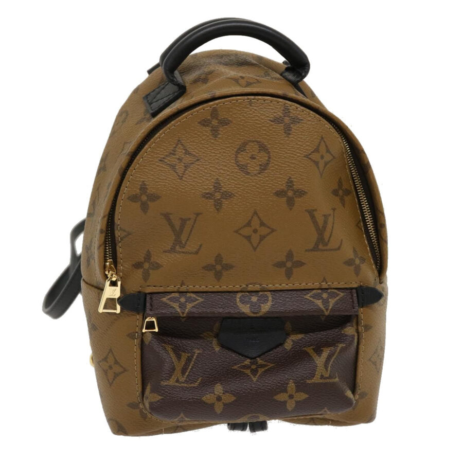 LOUIS VUITTON Monogram Reverse Palm Springs Mini Backpack LV 29556A | Studio Nafay