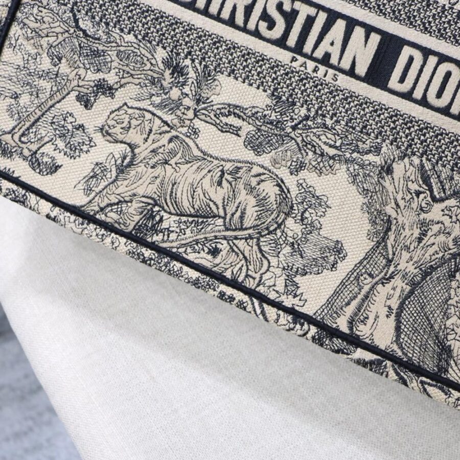 DIOR BOOK TOTE | Studio Nafay